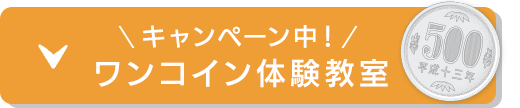 キャンペーン中！ワンコイン体験教室