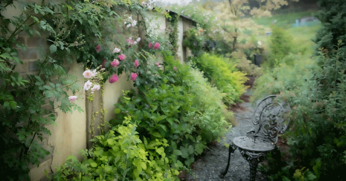 フラワー・ガーデニング mi サステナブルなフラワーで10月の